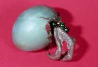 Easter Egg from 2006